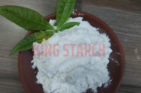 Pre-gelatinized Tapioca Starch – Kingstarch Vietnam