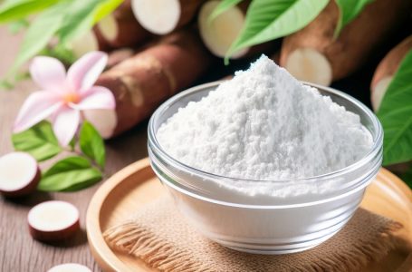 Tapioca Starch vs. Other Starches: A Useful Comparative Analysis