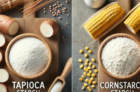 Are Tapioca Starch and Cornstarch Interchangeable? Understanding Their Remarkable Differences and Uses