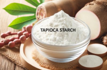 The Amazing Versatility of Native Tapioca Starch