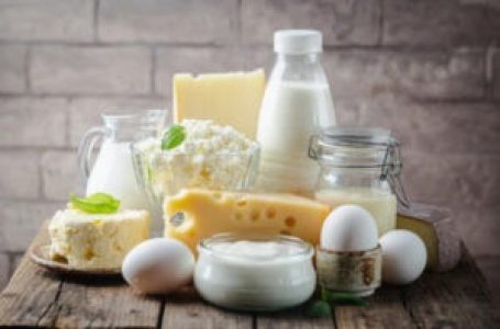 2024 Dairy Products: Enhancing Quality with Advanced Modified Tapioca Starch
