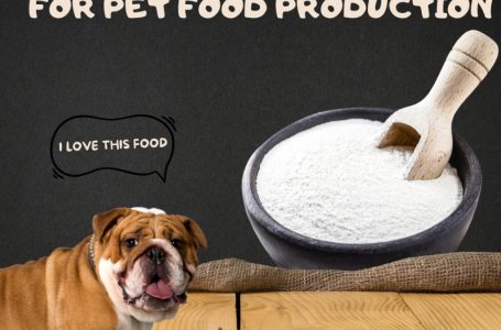 The Benefits of Native Tapioca Starch in Pet Food Production 2024