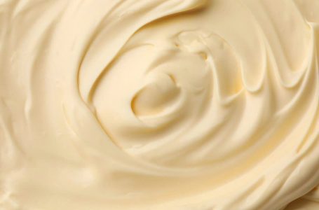 Amazing Applications of Acetylated Distarch Adipate E1422 Pregelatinized in Mayonnaise