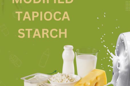 Elevating Dairy Products: The Wonders of Modified Tapioca Starch, Interesting 2024