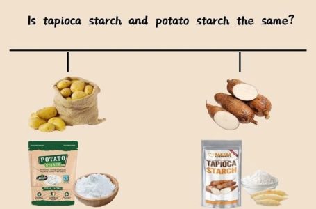 5 Major Differences in the Nutritional Profile of Potato Starch and Tapioca Starch