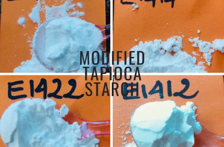 Modified Tapioca Starch: Transforming the Food and Chemical Industries