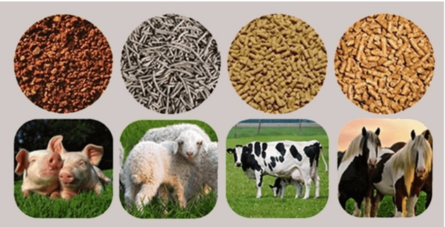 http://kingstarchvietnam.com/ TAPIOCA PELLET