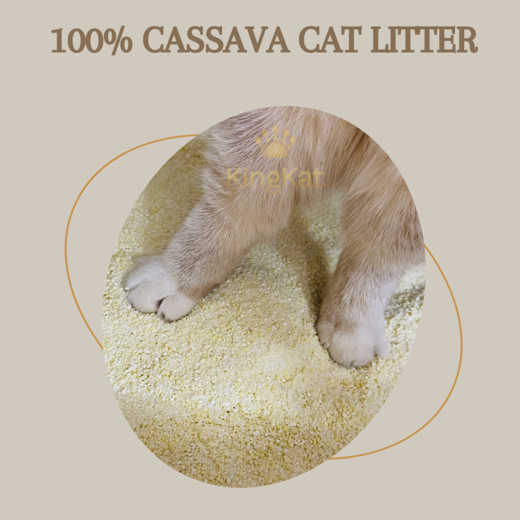 Cassava cat litter