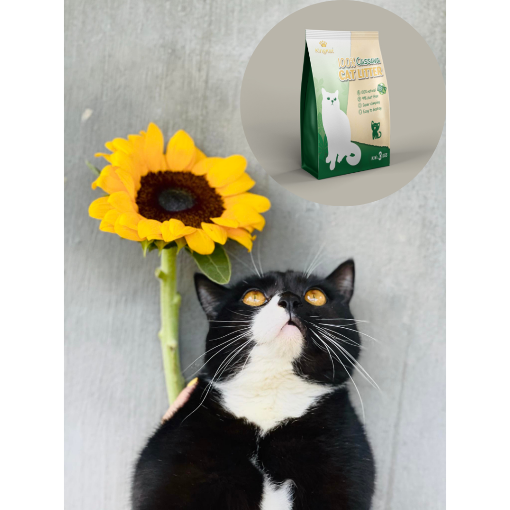 cassava cat litter